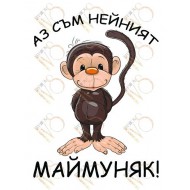 Комплект семейни тениски СЕМЕЙСТВО МАЙМУНКИ МОДЕЛ:2161