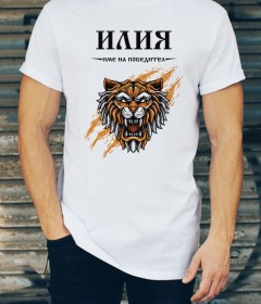 ИЛИНДЕН