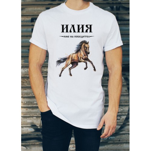 Мъжка тениска за Илинден МОДЕЛ:1583